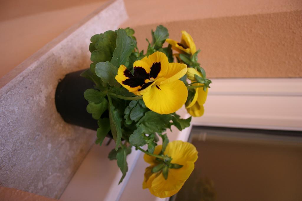 Note Sulla Piazza Bed & Breakfast Cagliari Exterior photo